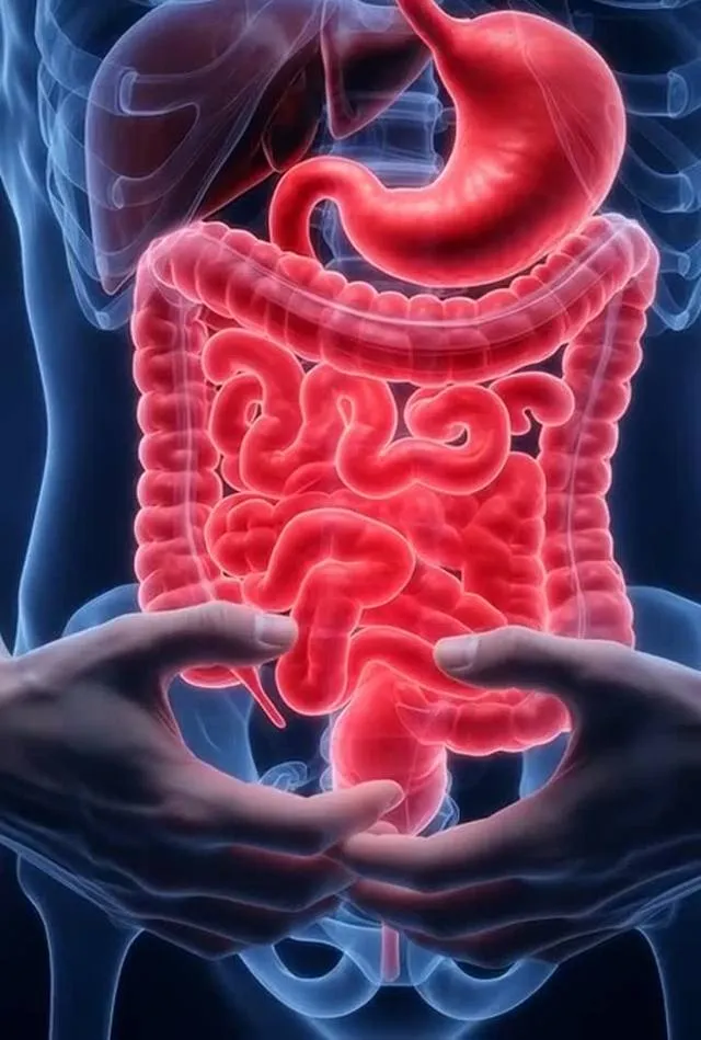 3 signes que ton intestin est bloqué. Le 2e, tout le monde l'ignore.